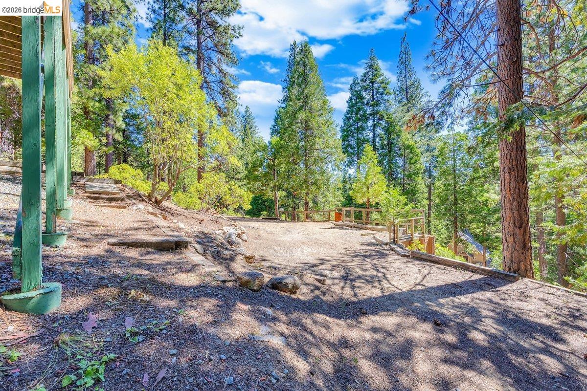 29338 Shasta Dr