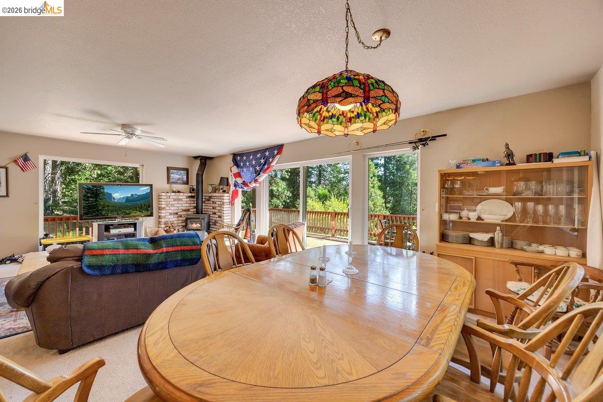 29338 Shasta Dr