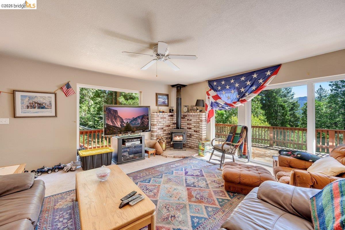 29338 Shasta Dr