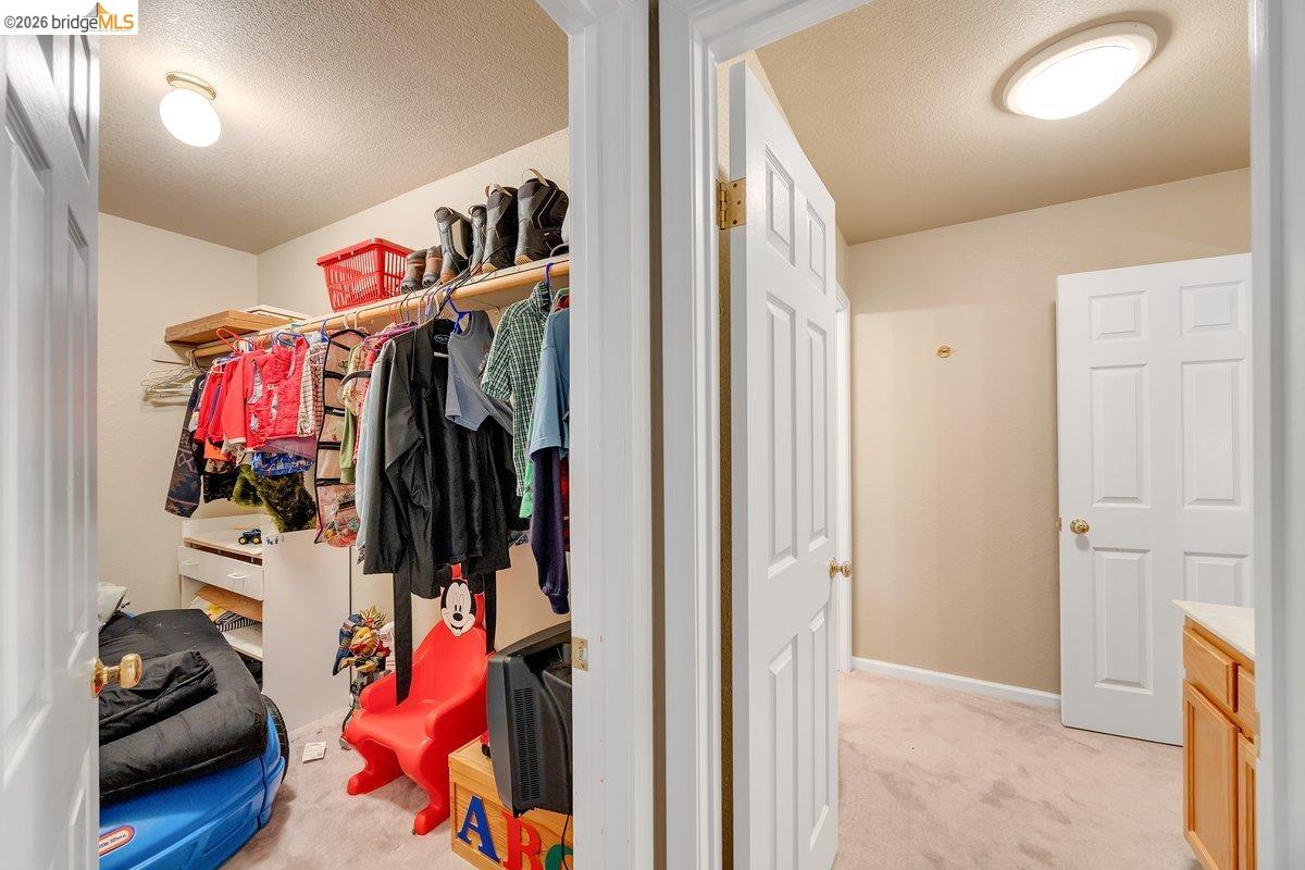 29338 Shasta Dr