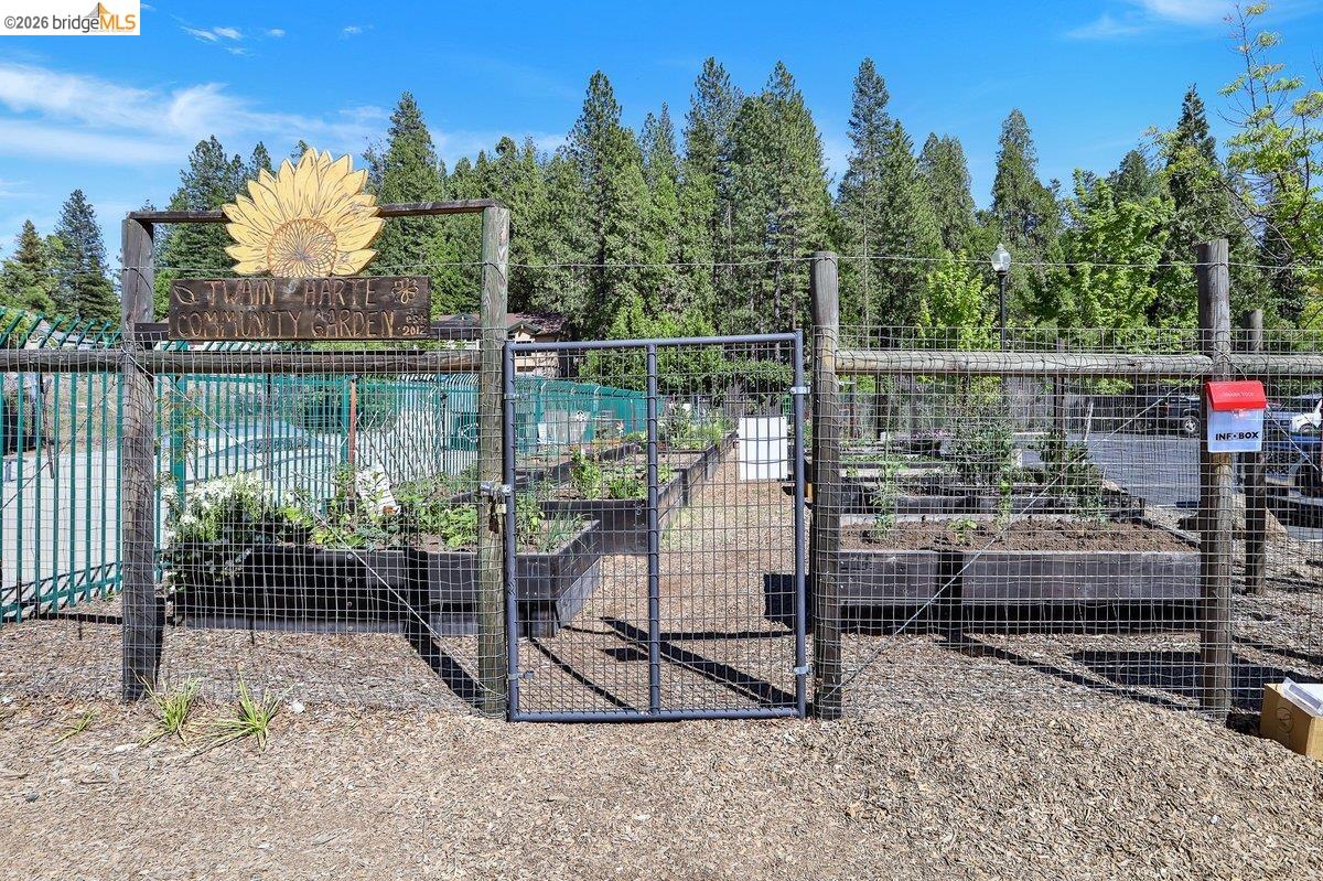 22499 Fireside Dr