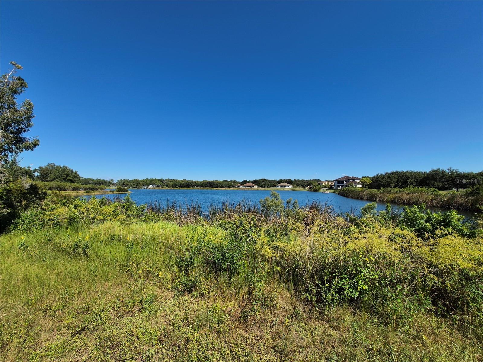 11 TRUMPETER CT