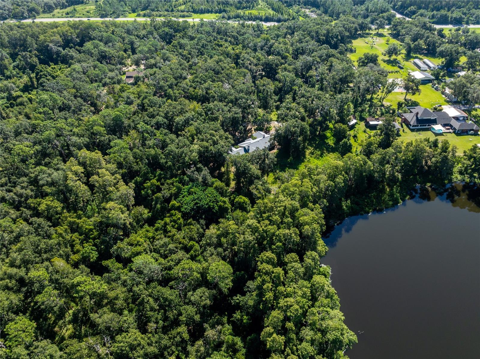 Aerial view of wooded land beside water, with homes and a road nearby.