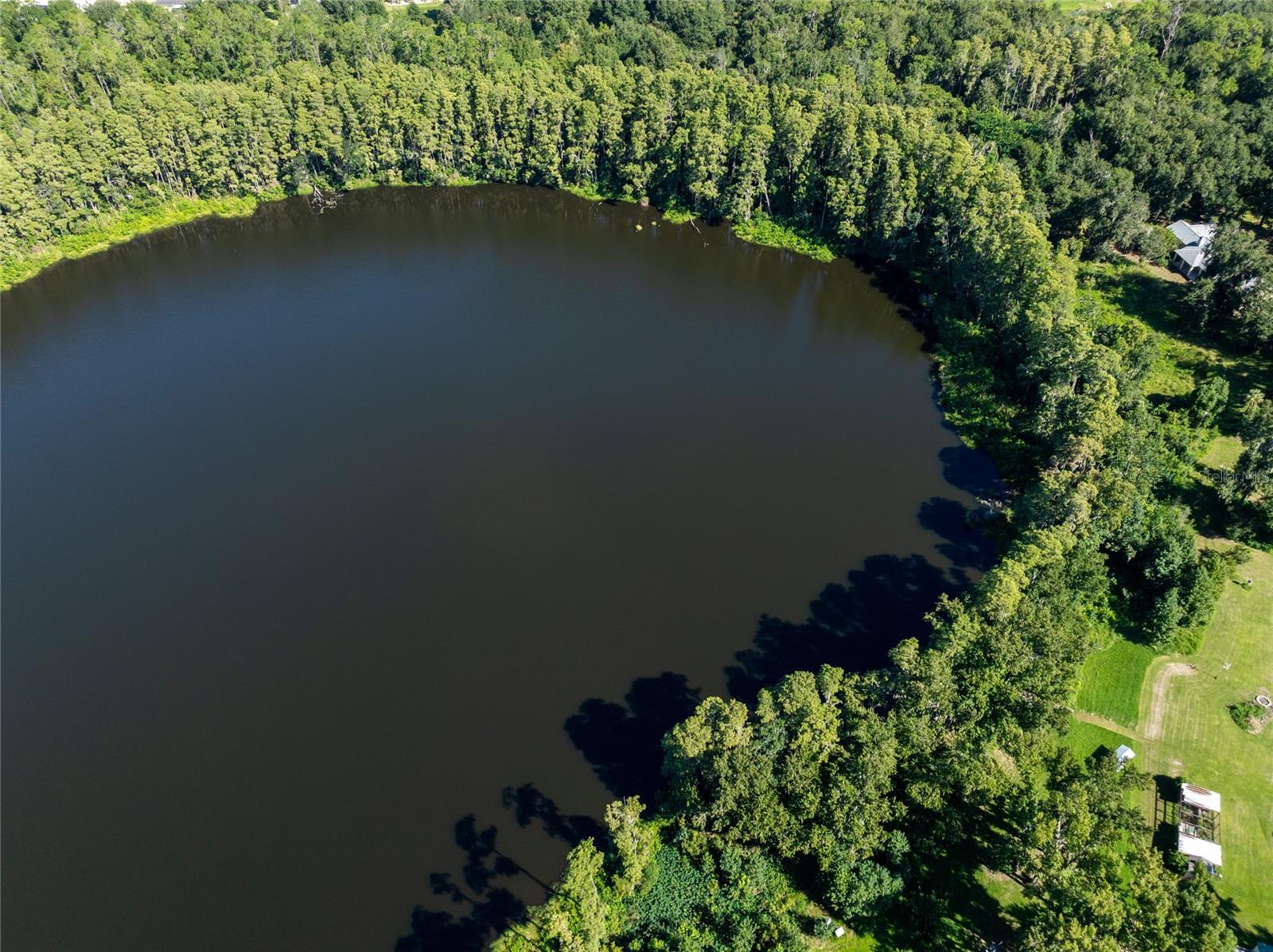 Aerial view of a tree-lined lake beside a small grassy clearing.