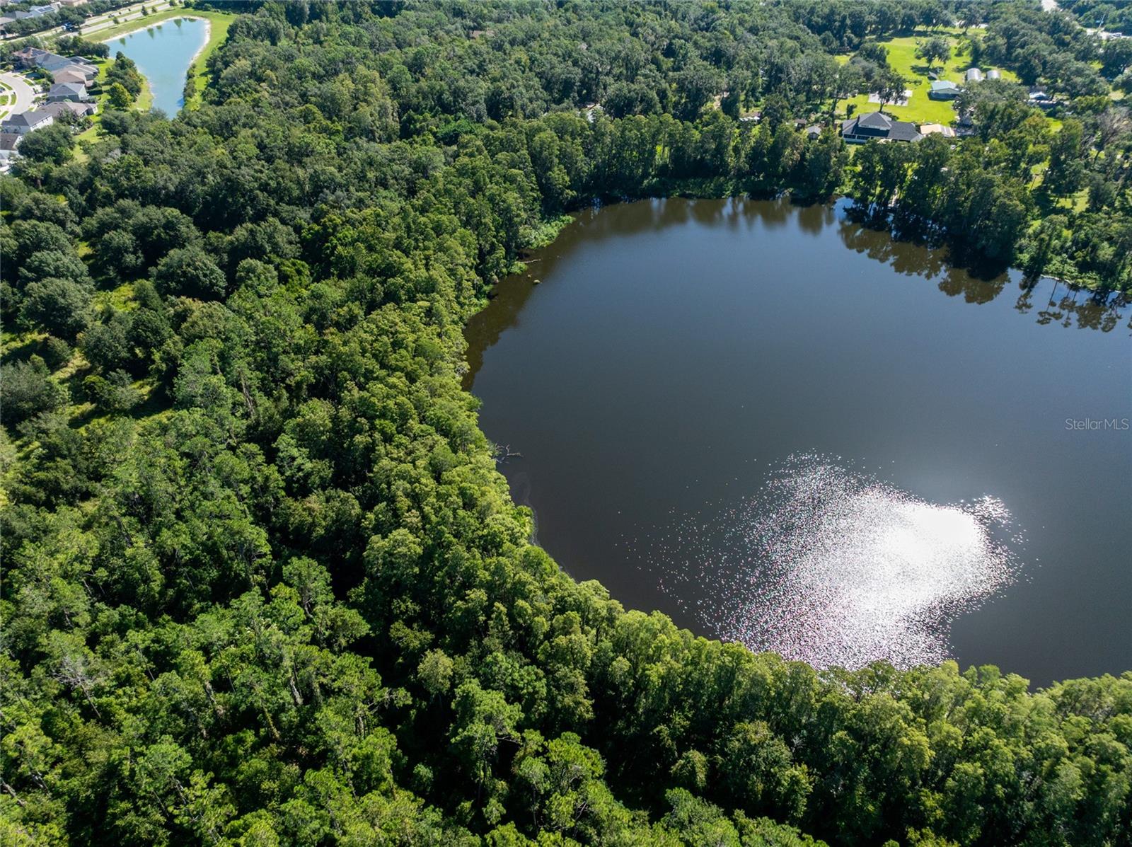 Aerial view of wooded vacant land bordering a large lake, with sunlight reflecting on the water.