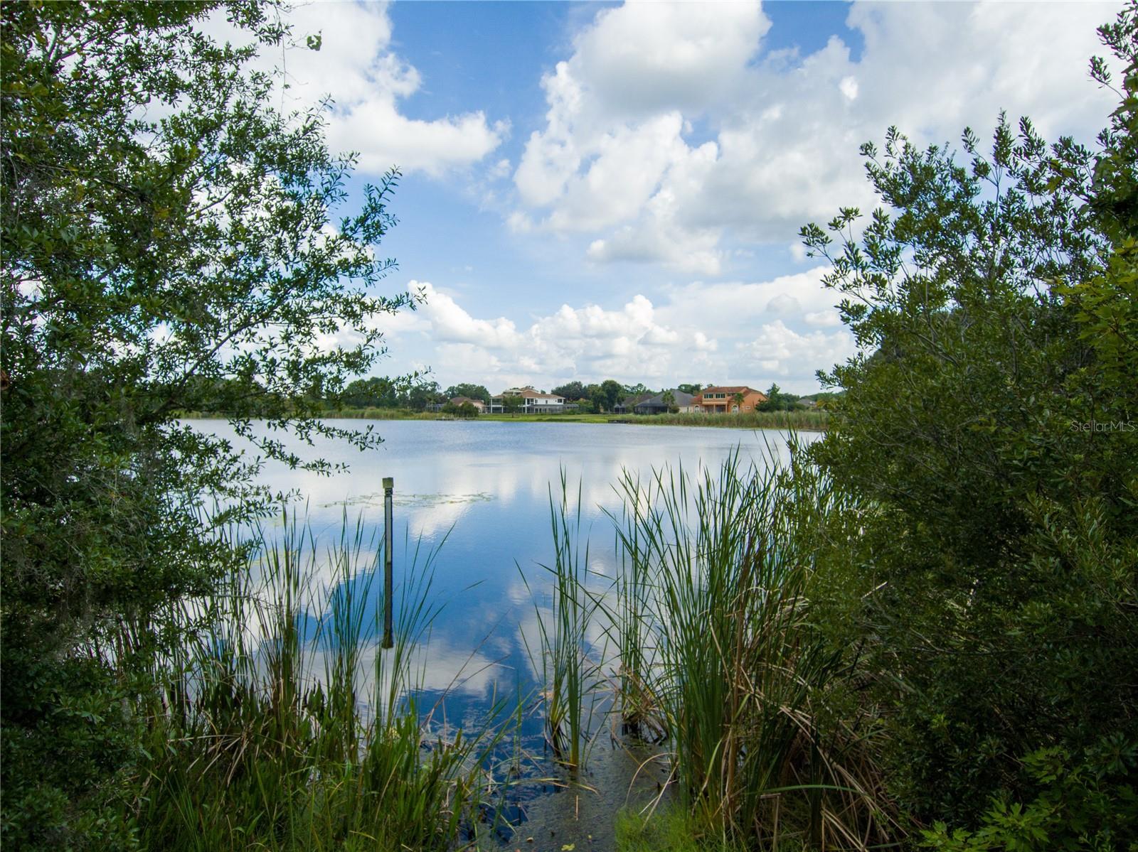 CARSON DR