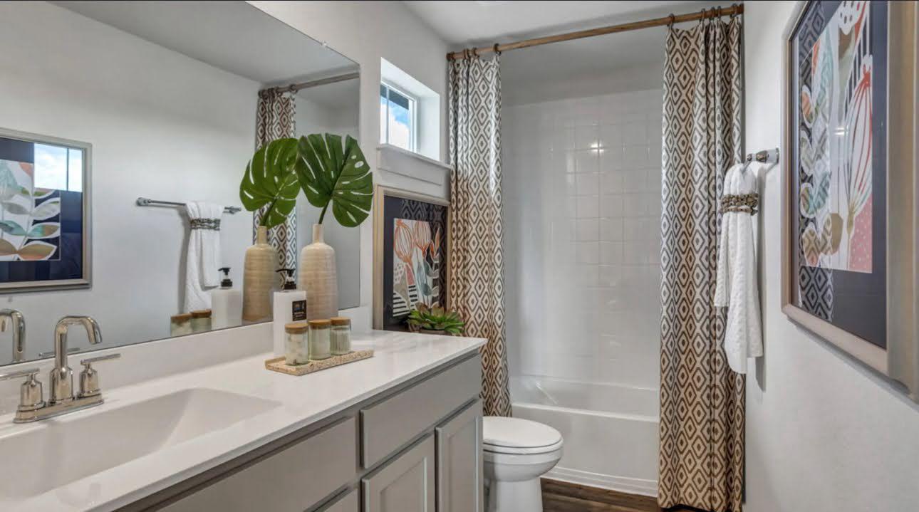 Staged bathroom with a long vanity, patterned shower curtains, white tub, and toilet.
