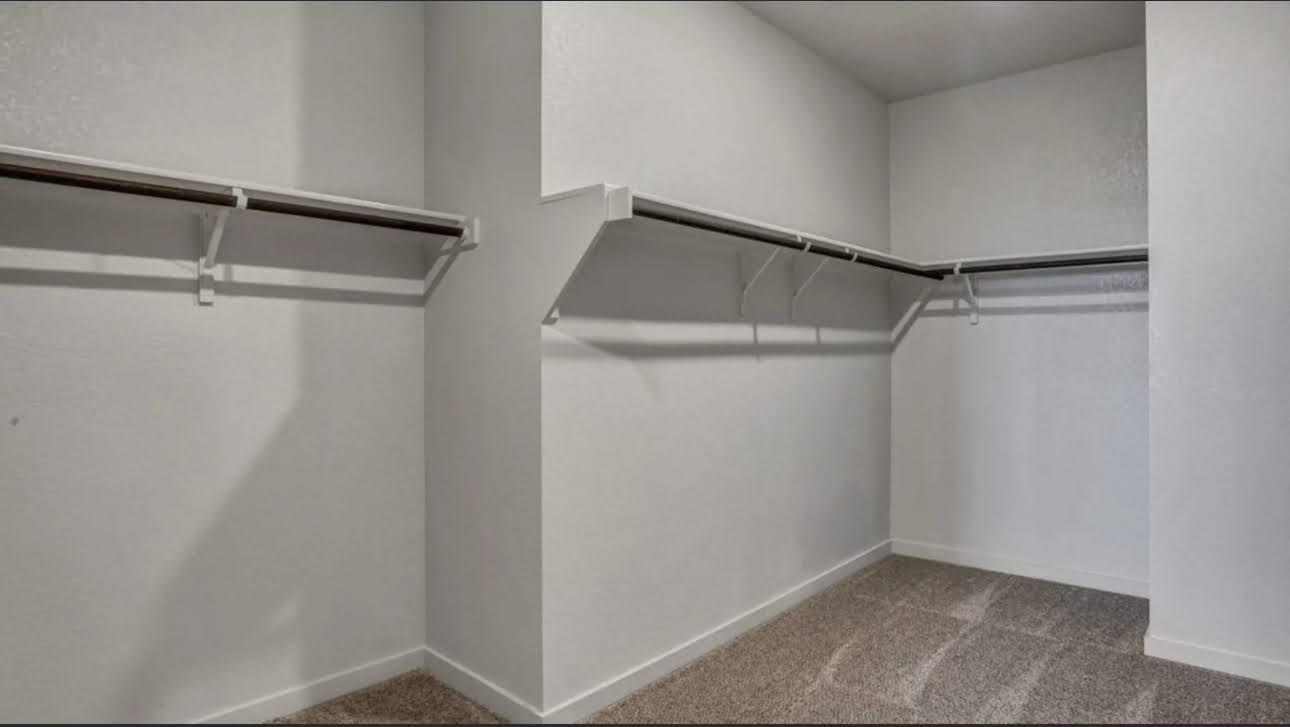 Walk-in closet with carpeted floor and wraparound shelves and hanging rods.