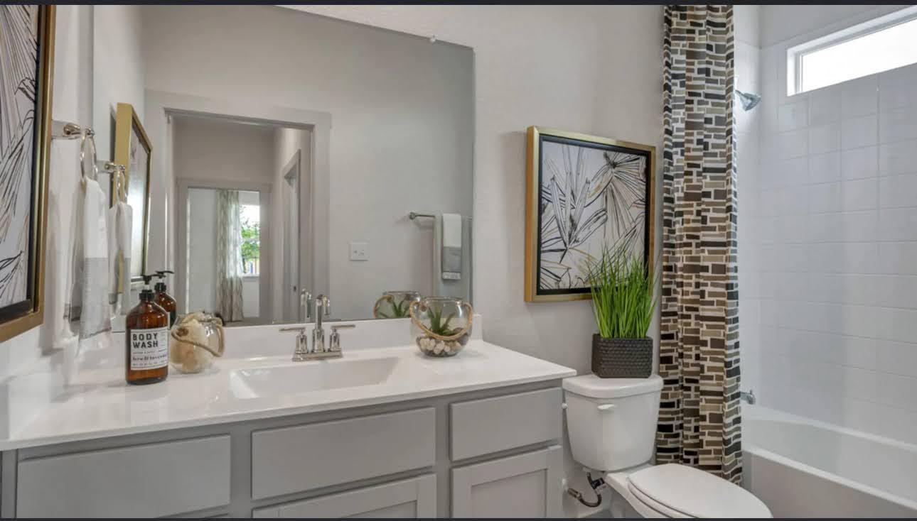 Bathroom with a white vanity, large mirror, toilet, and tub behind a geometric mosaic shower curtain.