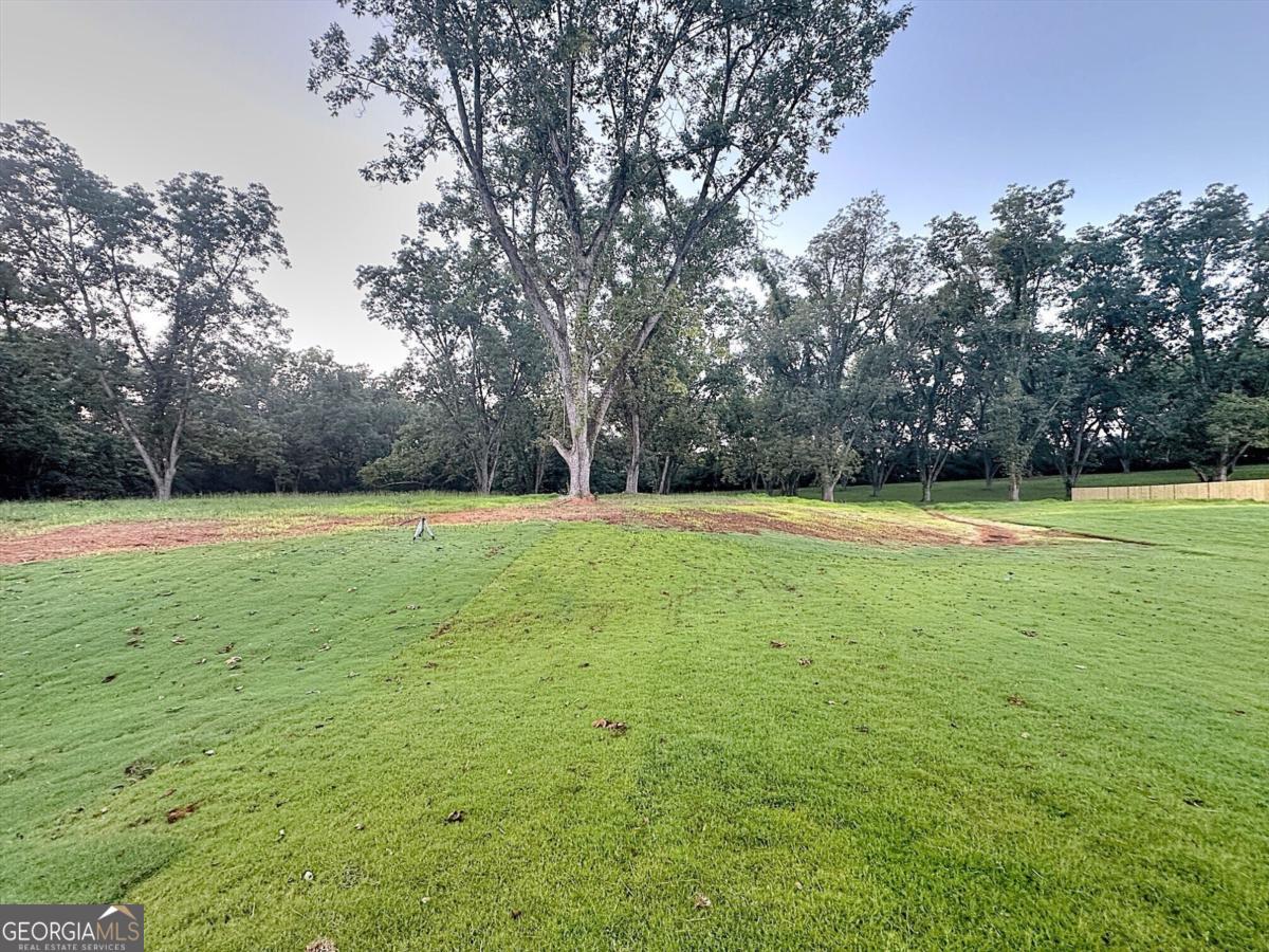 113 Chinaberry Street LOT 4