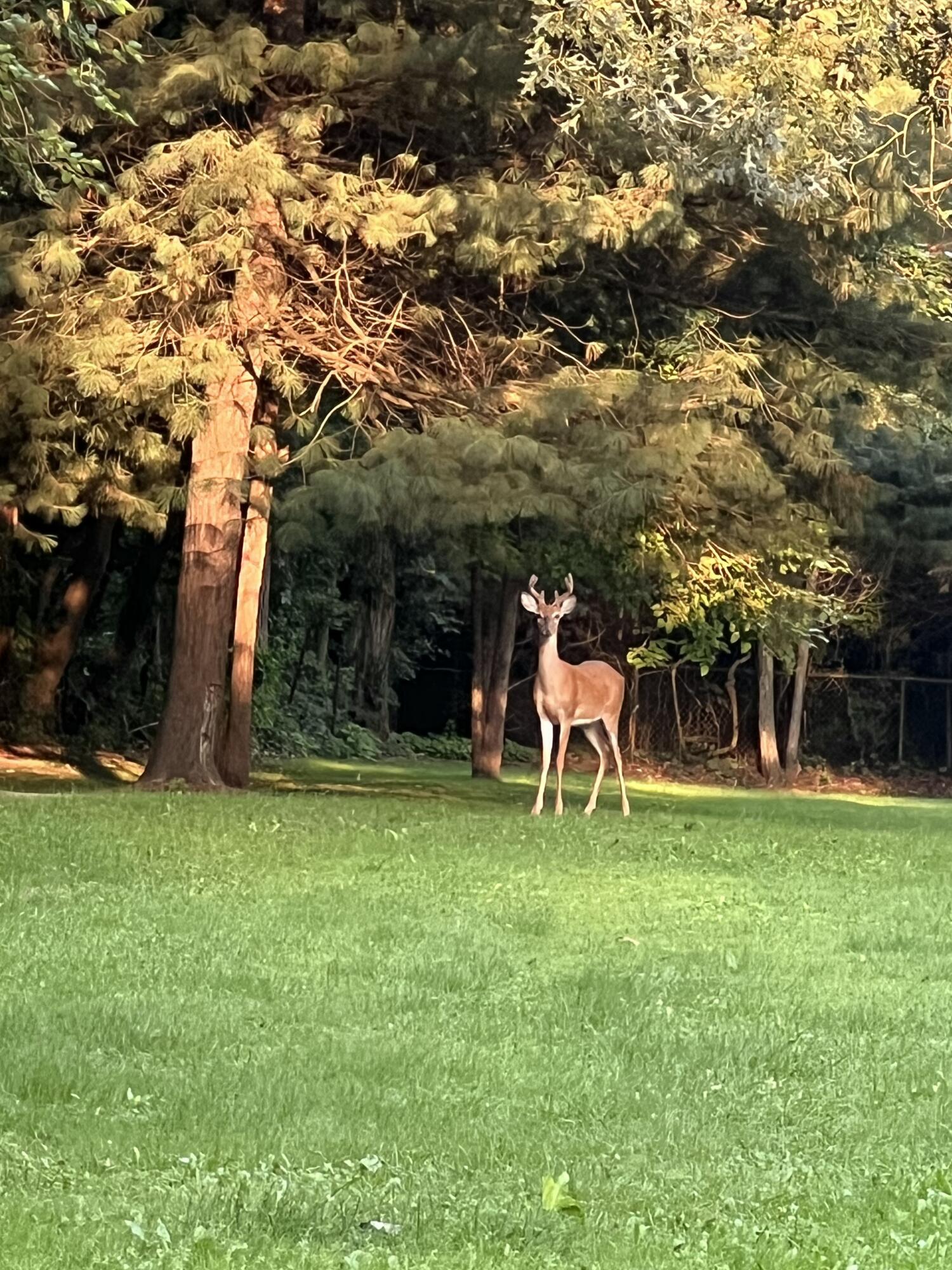1738 Fairbanks Street