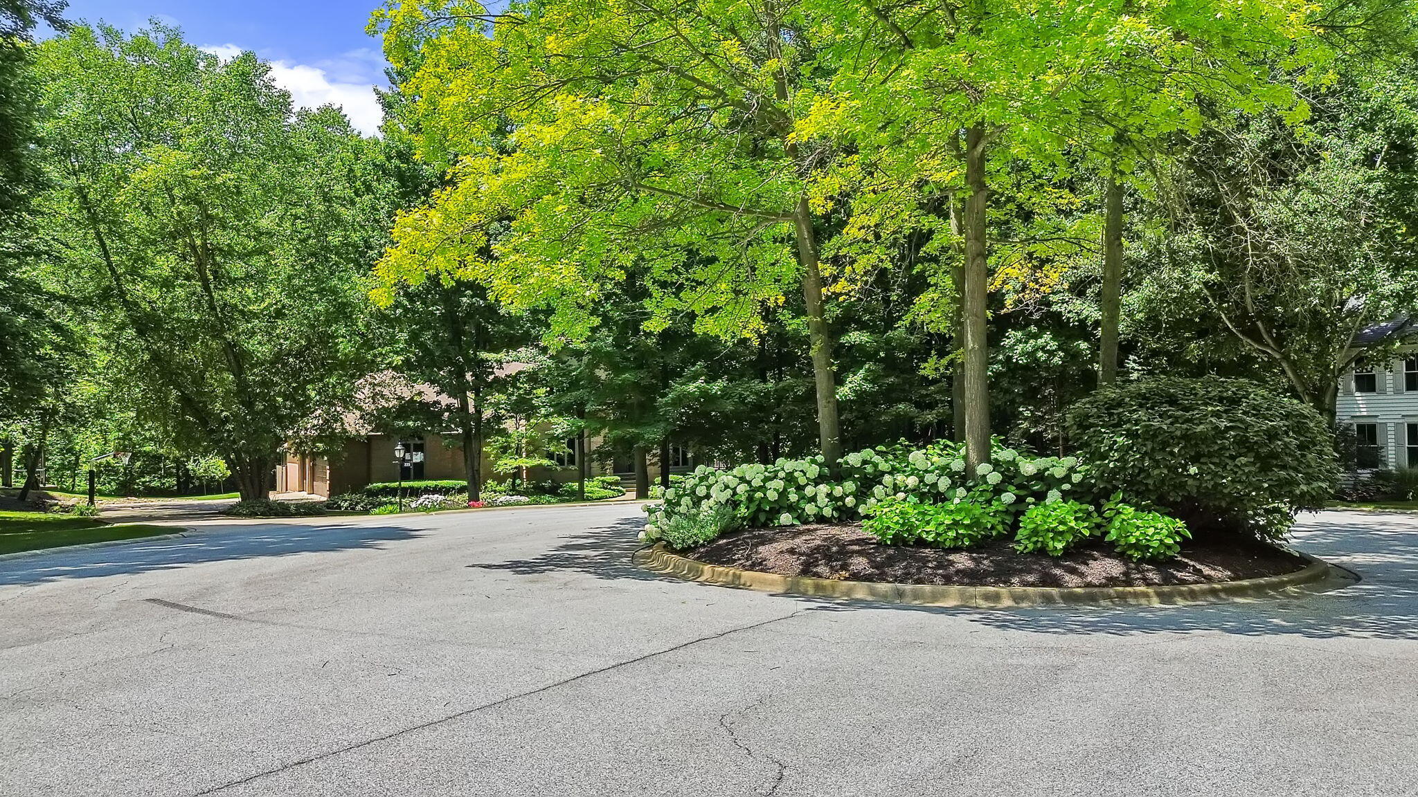 223 Crabapple Lane