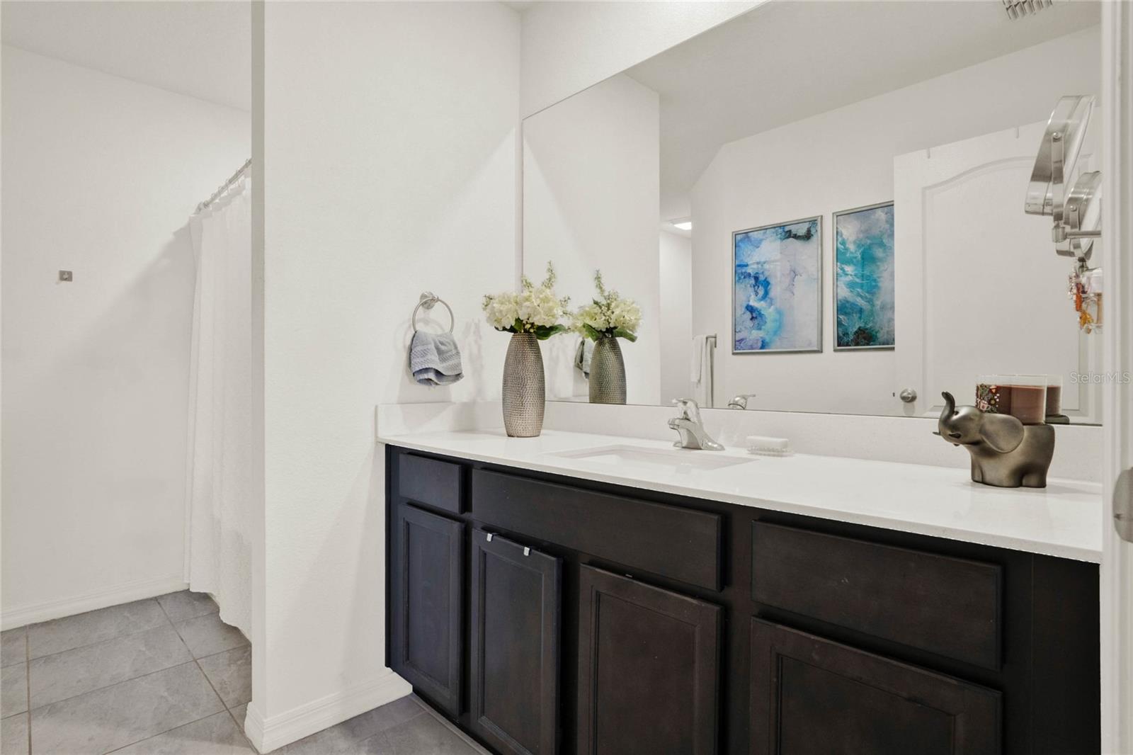 1579 SWAN LAKE CIR