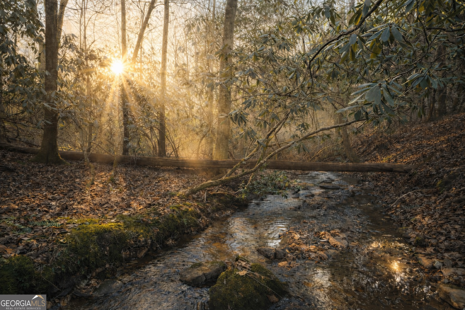 2889 Old Parker Place Rd