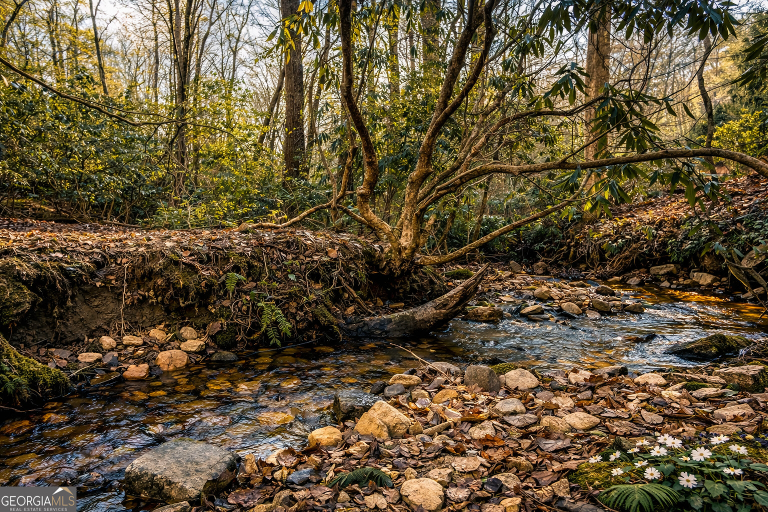 2889 Old Parker Place Rd