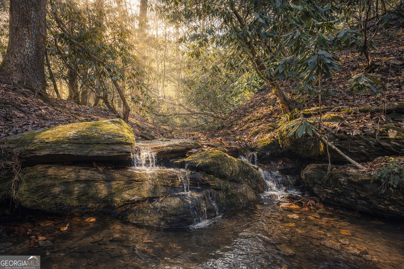 2889 Old Parker Place Rd