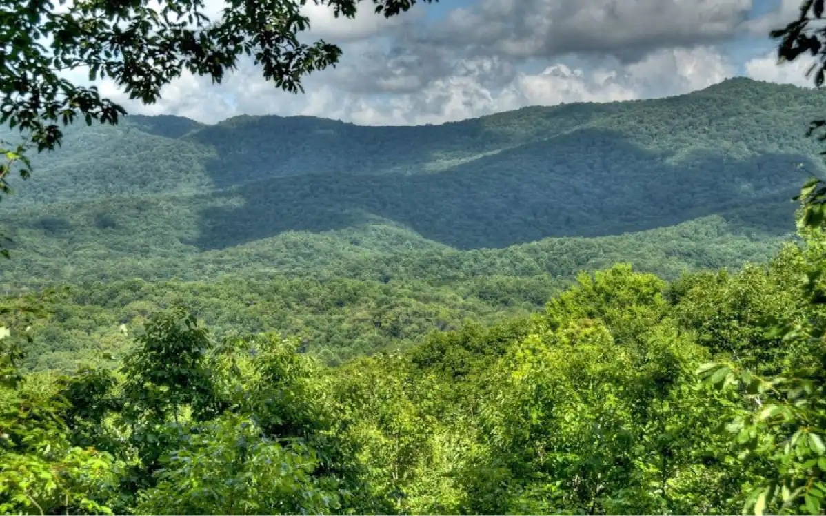 404 Cohutta Mountain Road