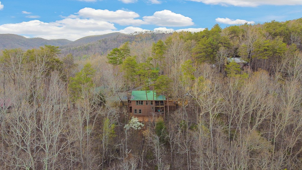 419 Cohutta Mountain Road