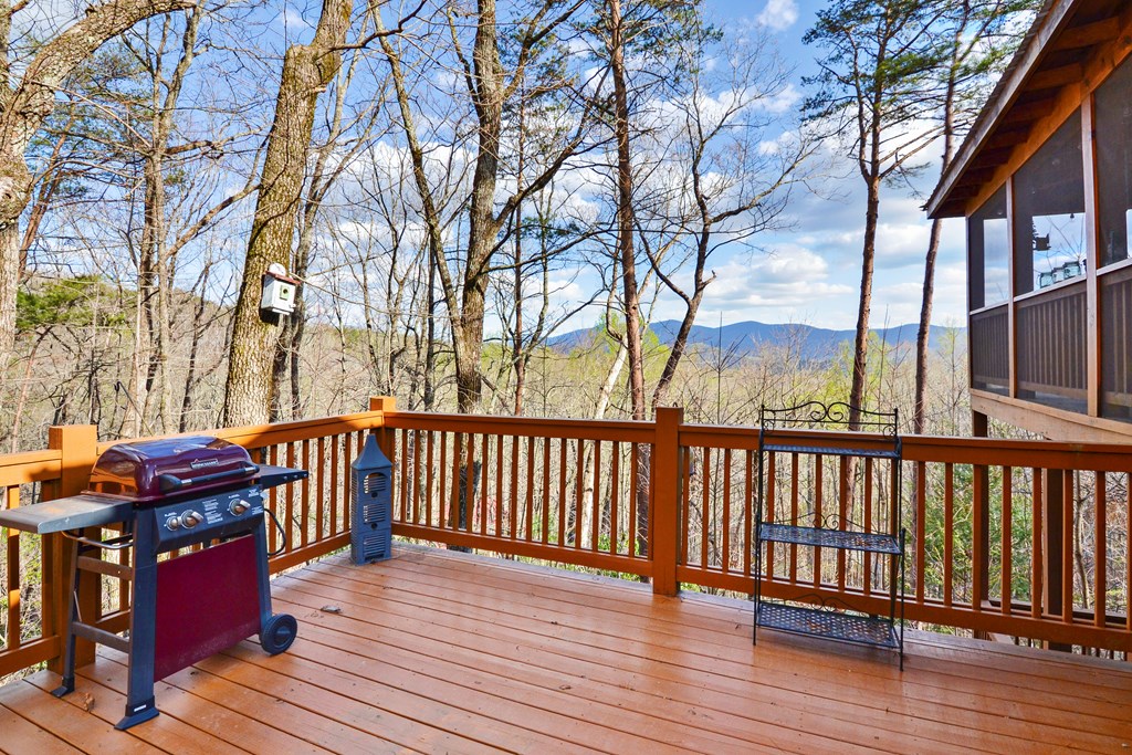 419 Cohutta Mountain Road