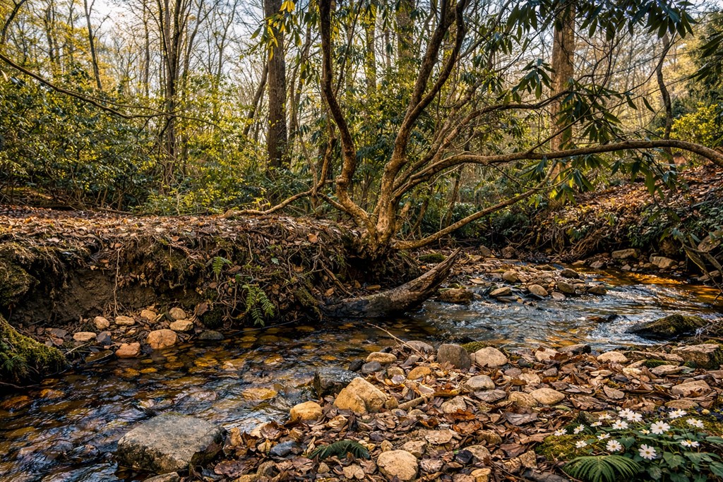 2889 Old Parker Place Road