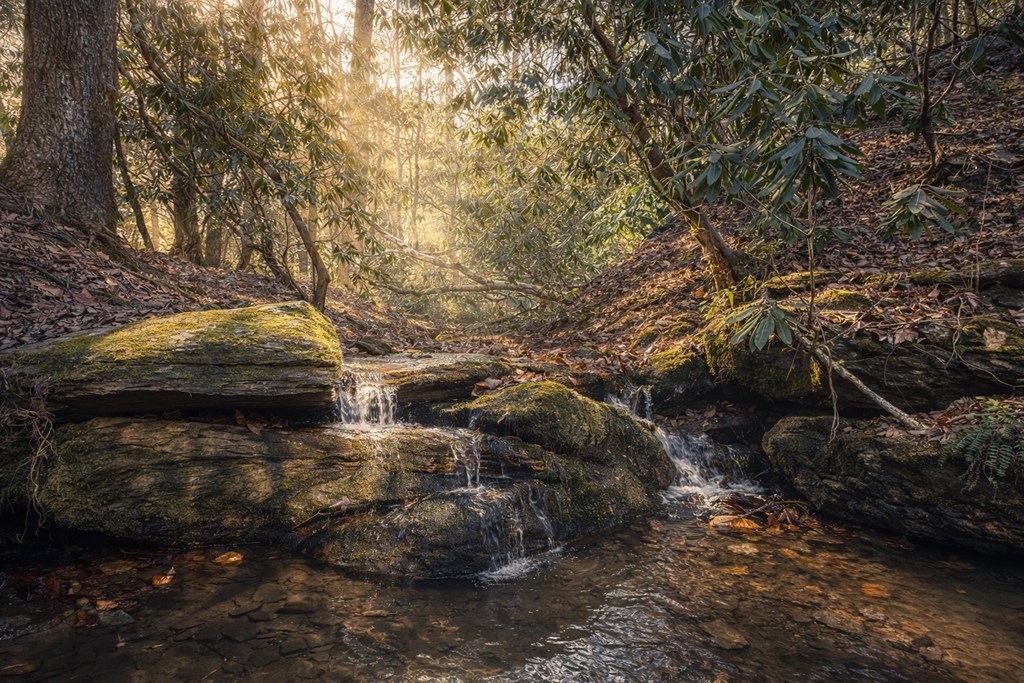 2889 Old Parker Place Road