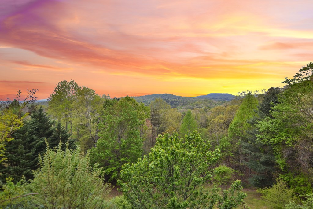 48 Lookout Drive