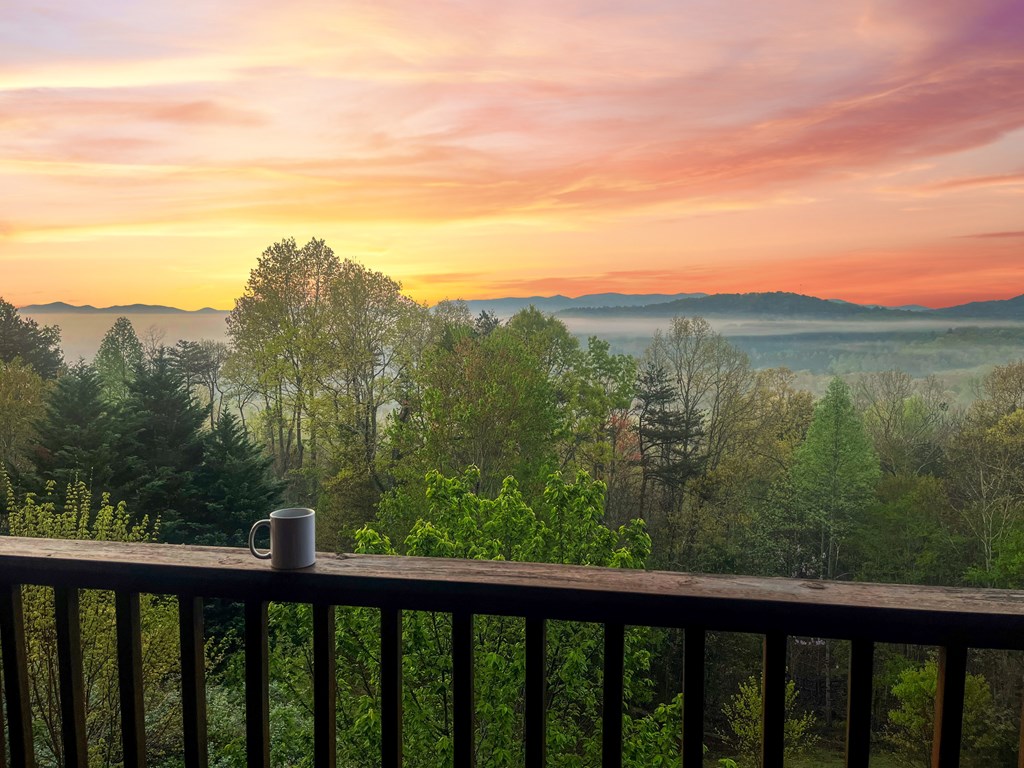 48 Lookout Drive
