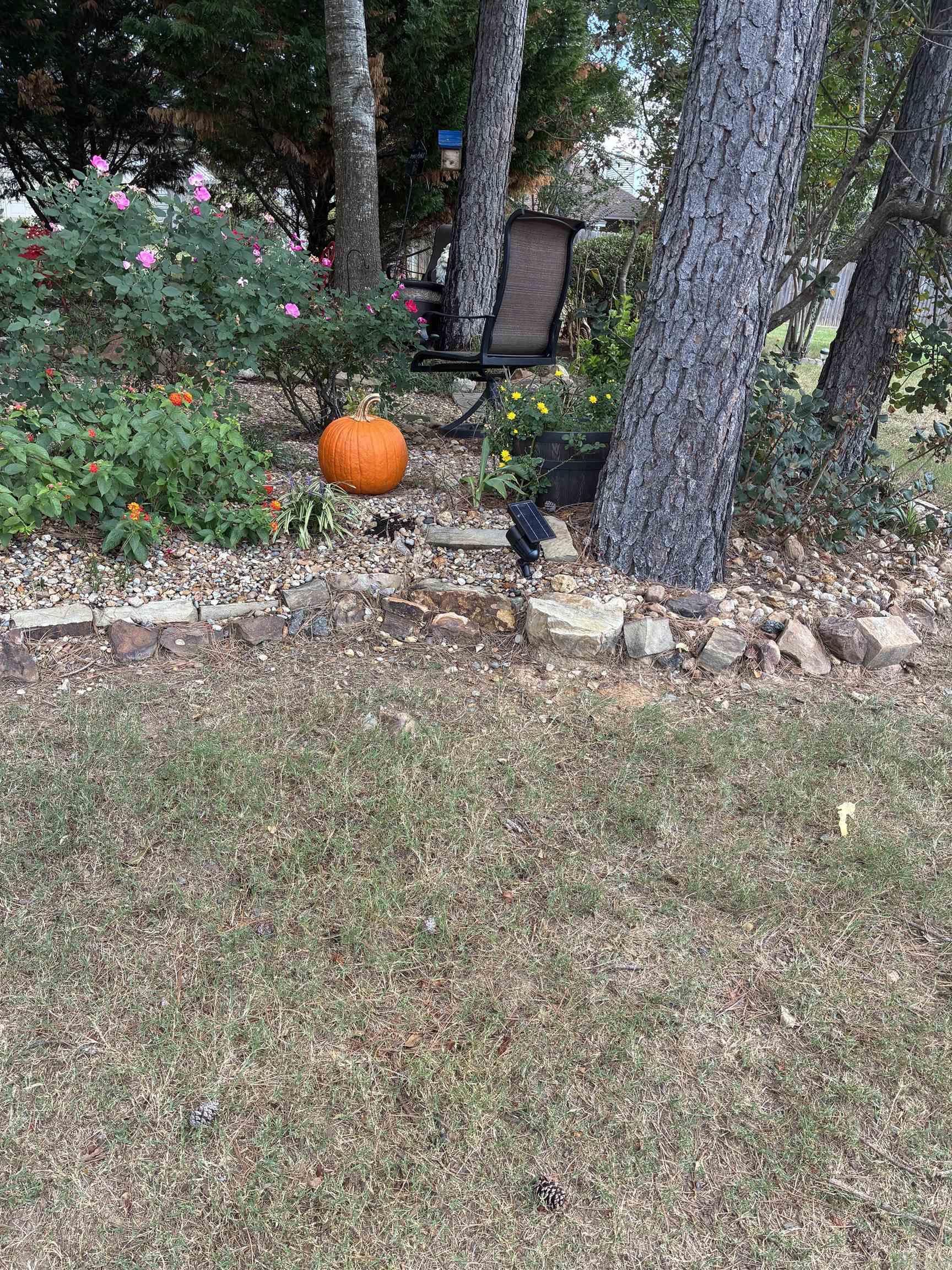 78 Garden Oaks Drive