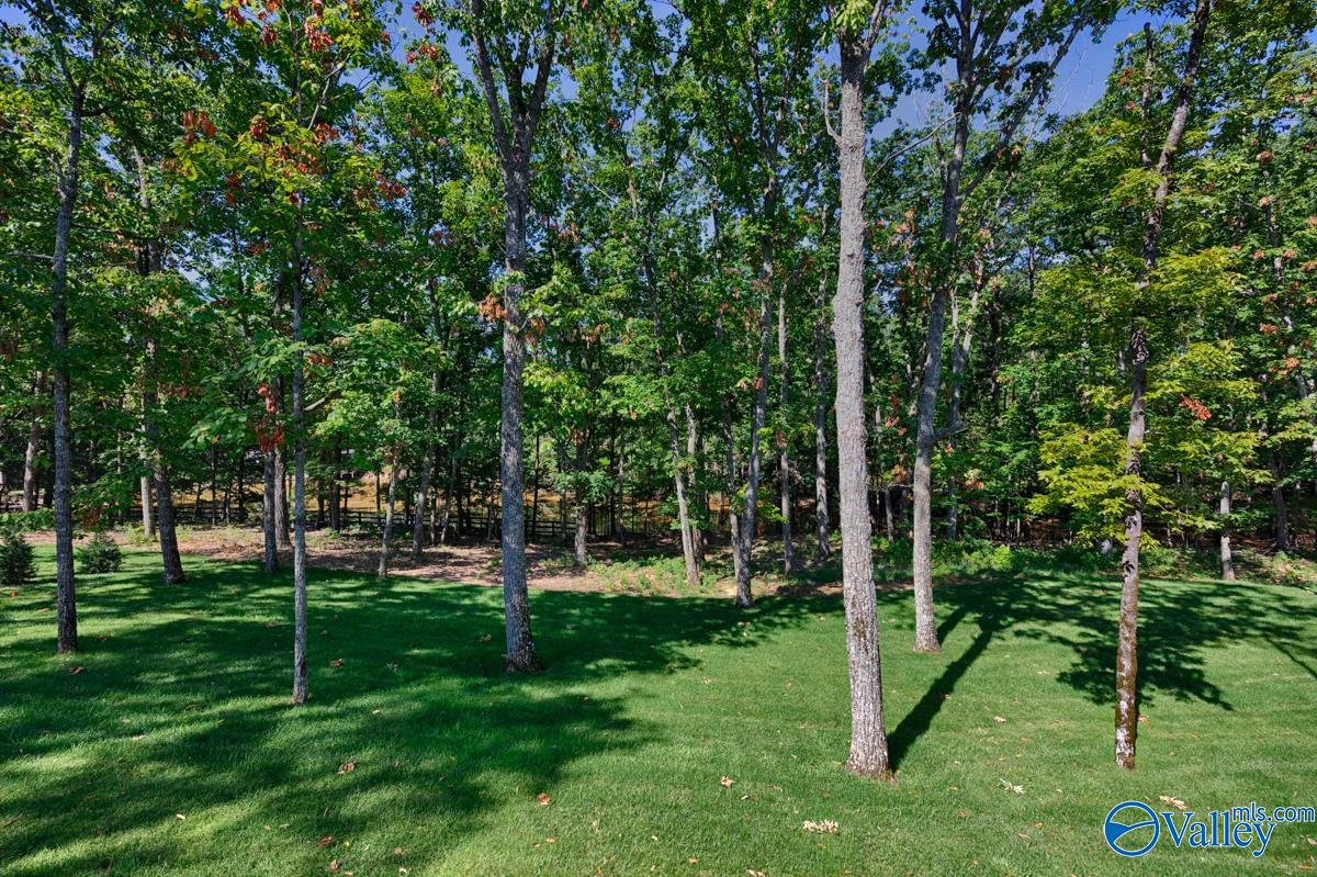 50 Ridge Bluff Circle