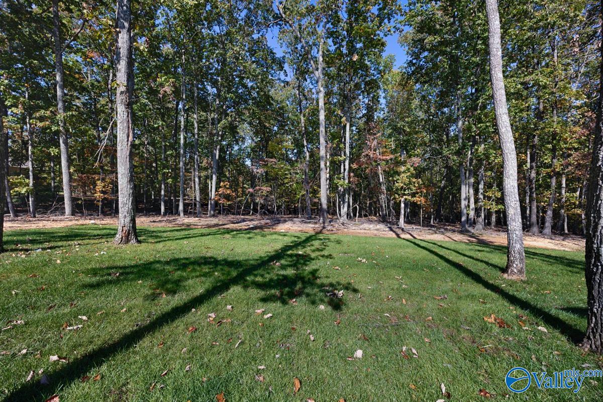 30 Bluff Creek