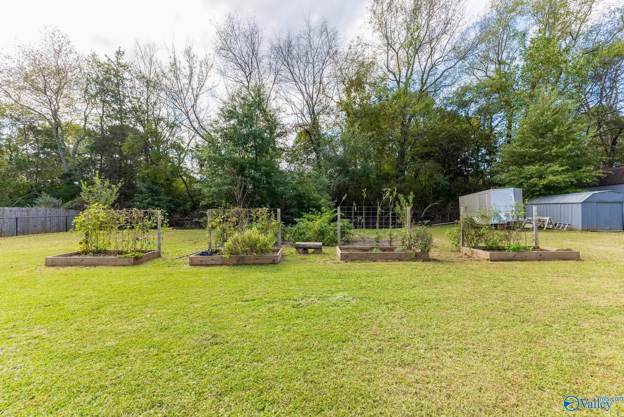 202 Frances Amelia Drive