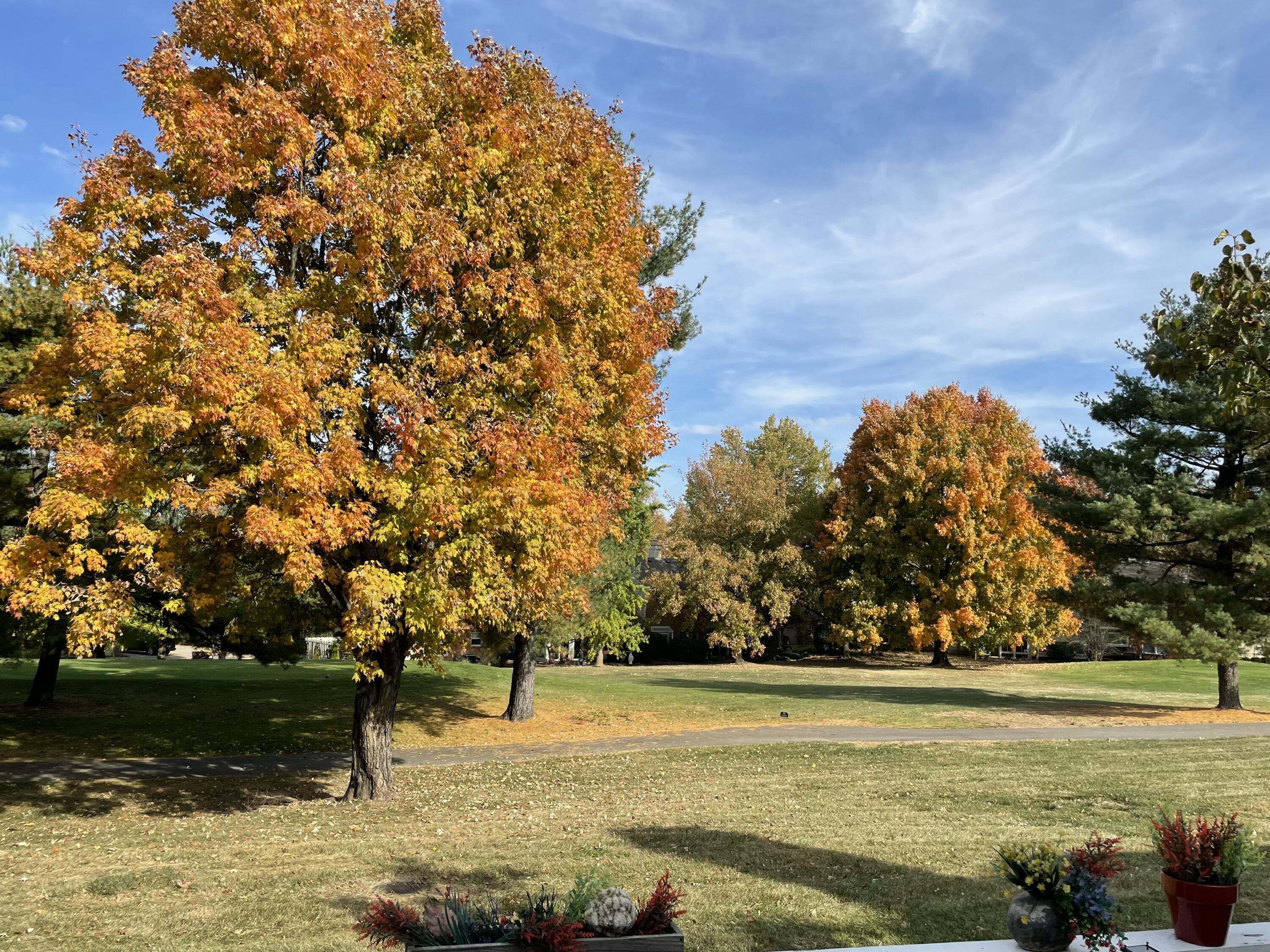 1052 Griffin Gate Drive