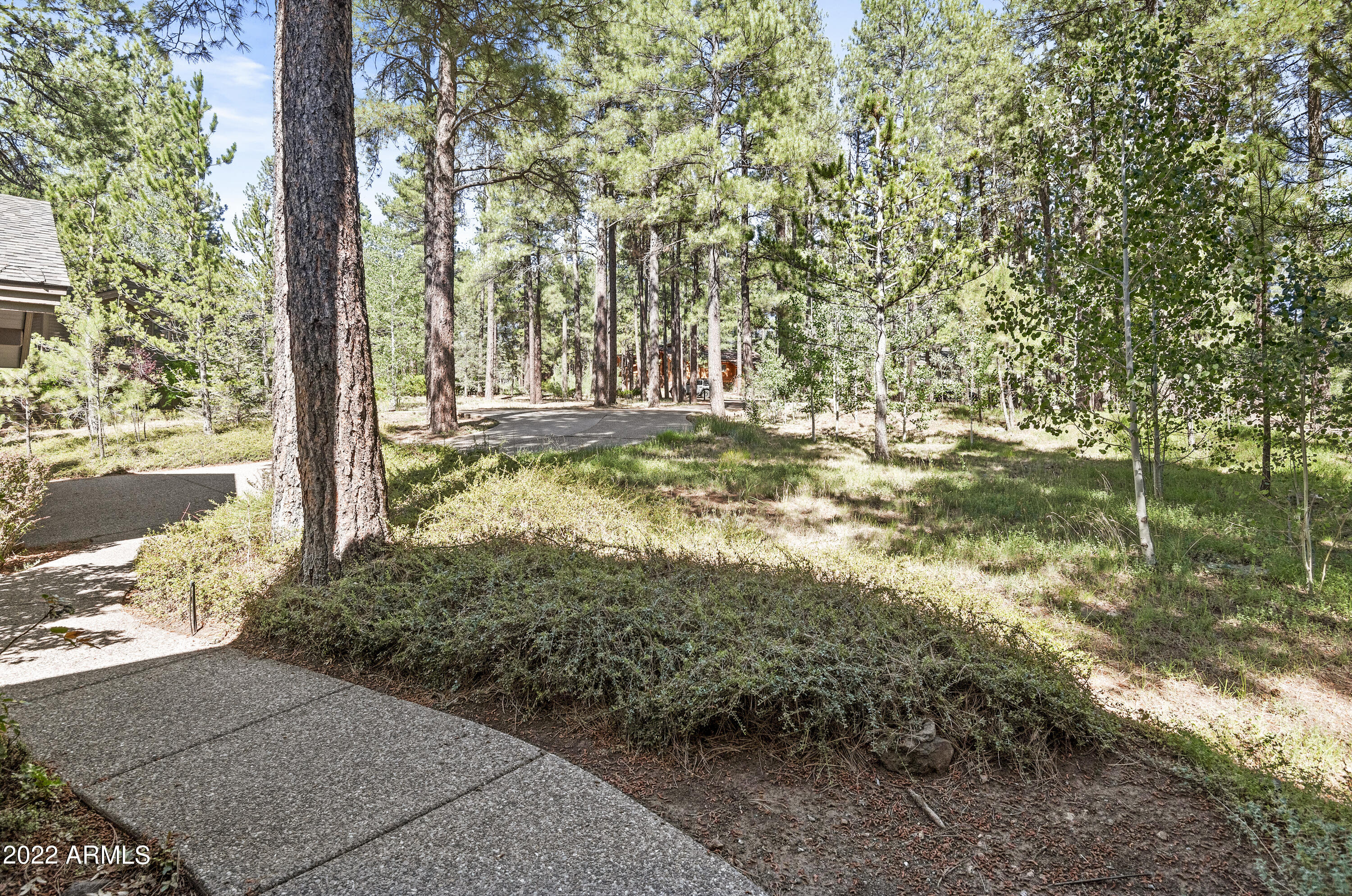 2082 William Palmer --