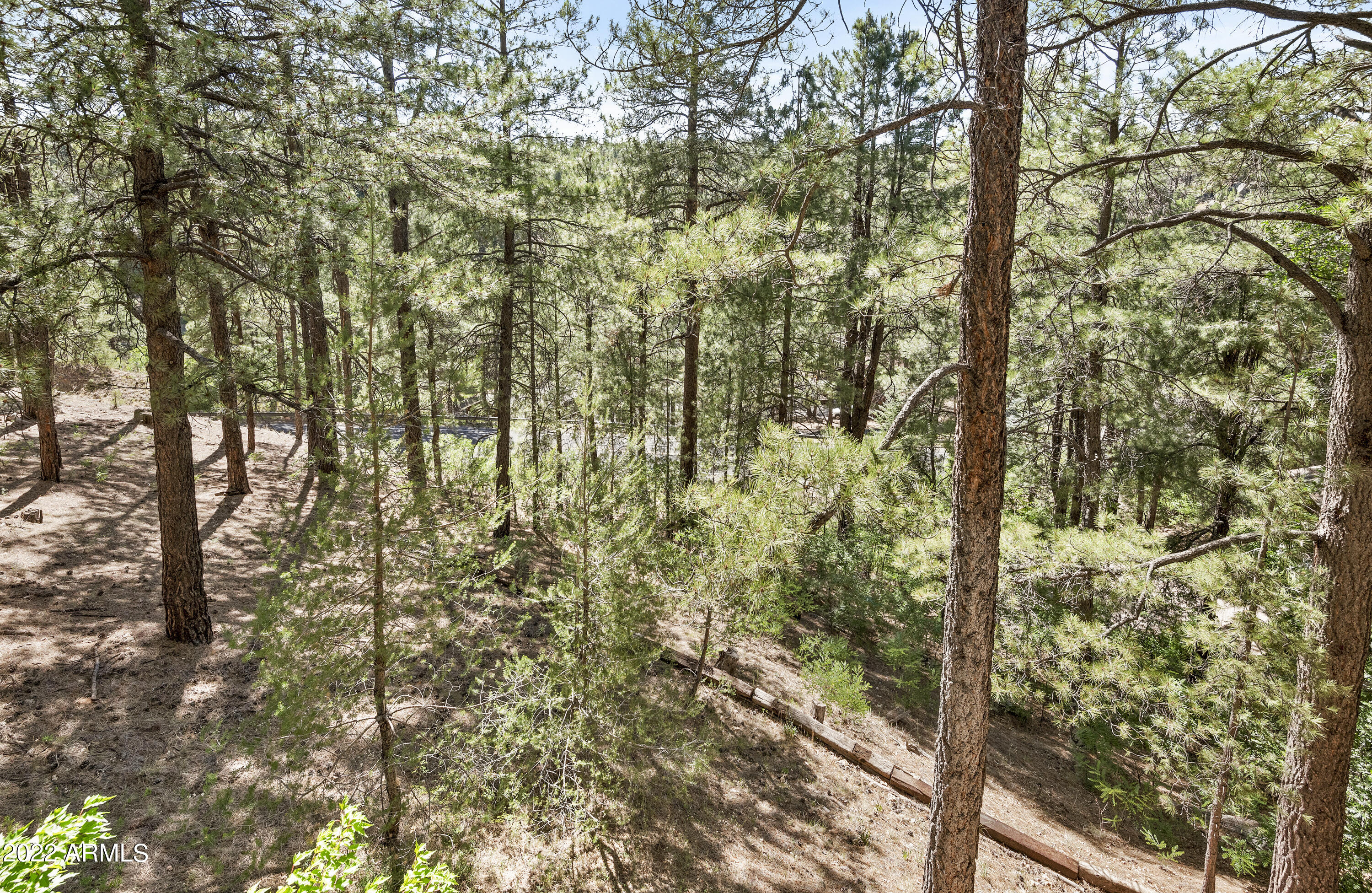 2082 William Palmer --