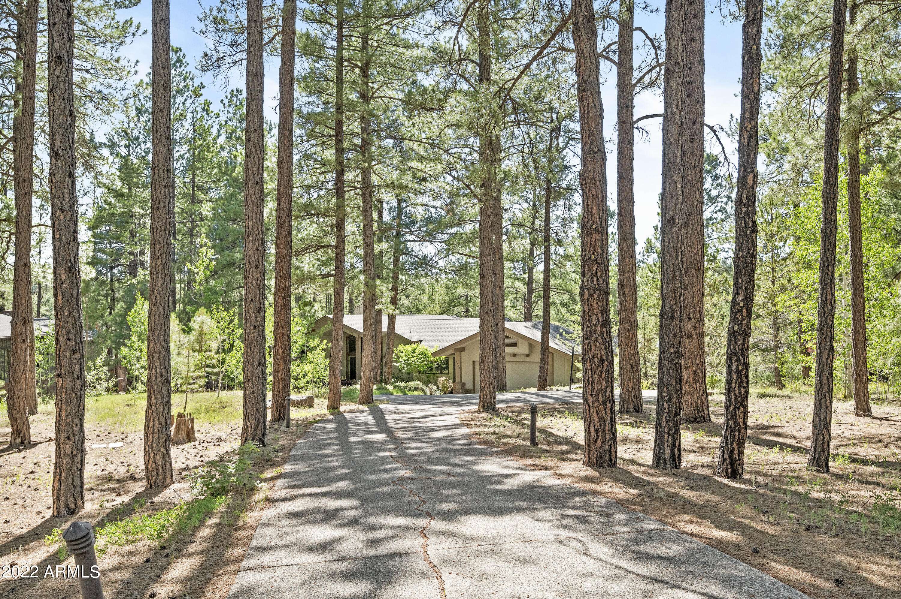 2082 William Palmer --