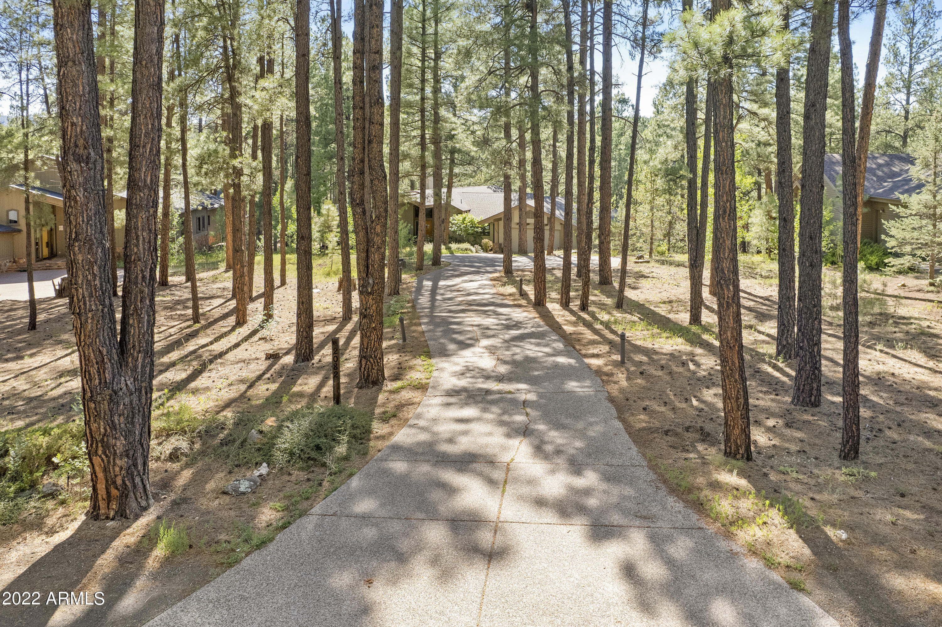 2082 William Palmer --