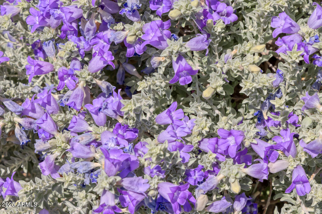 7224 N LAKESIDE Lane