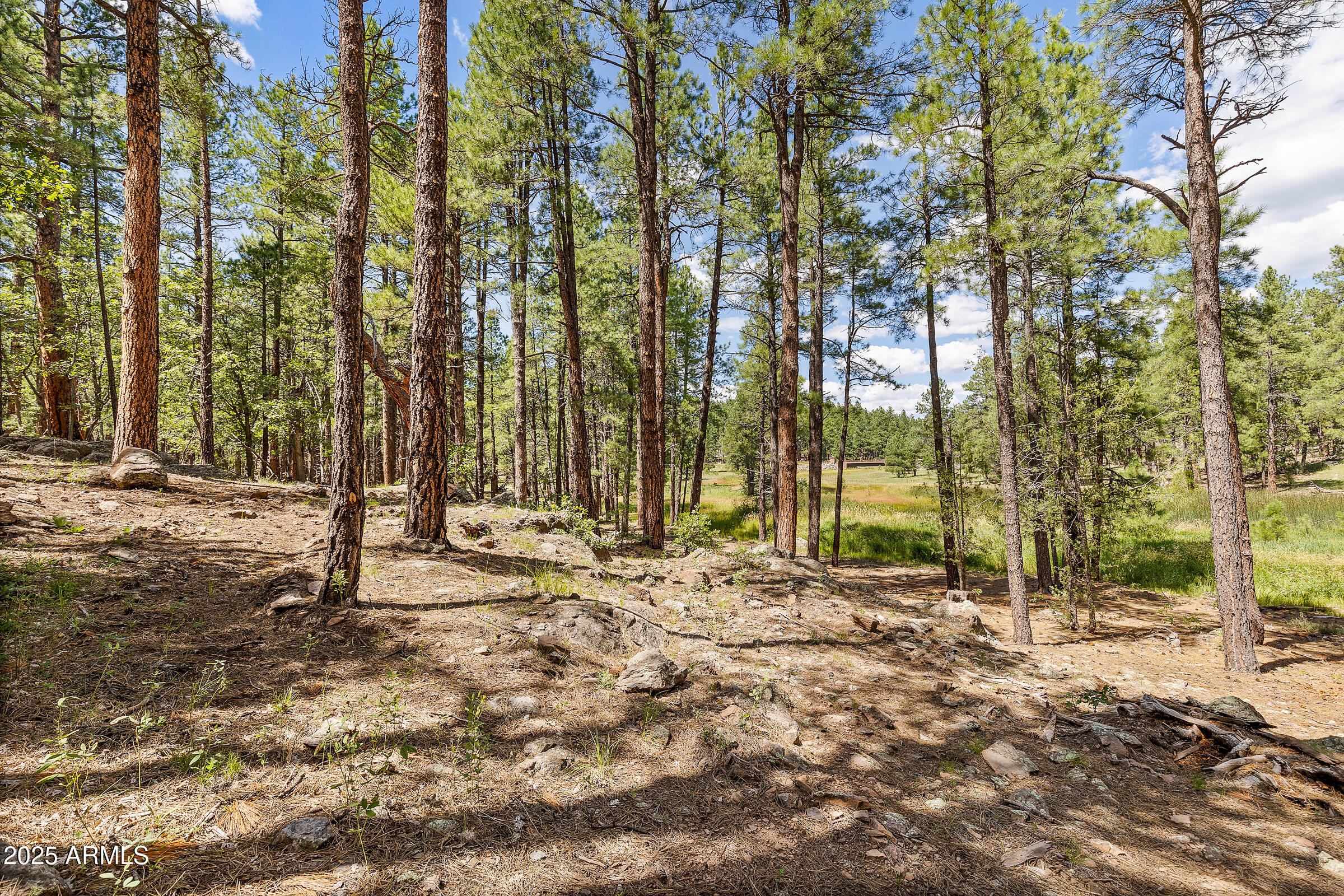 3456 LAURIE Lane 9