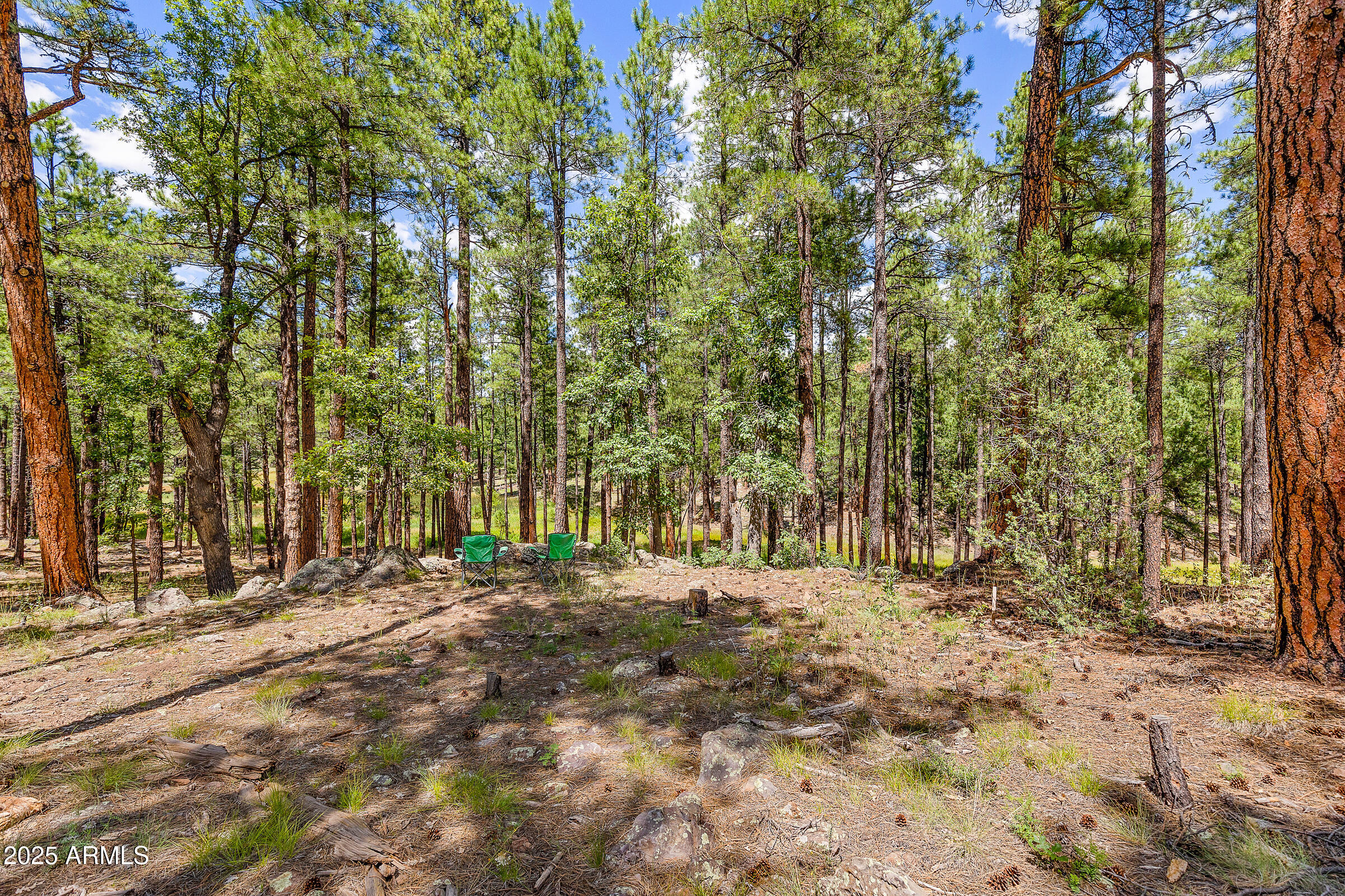 3456 LAURIE Lane 9