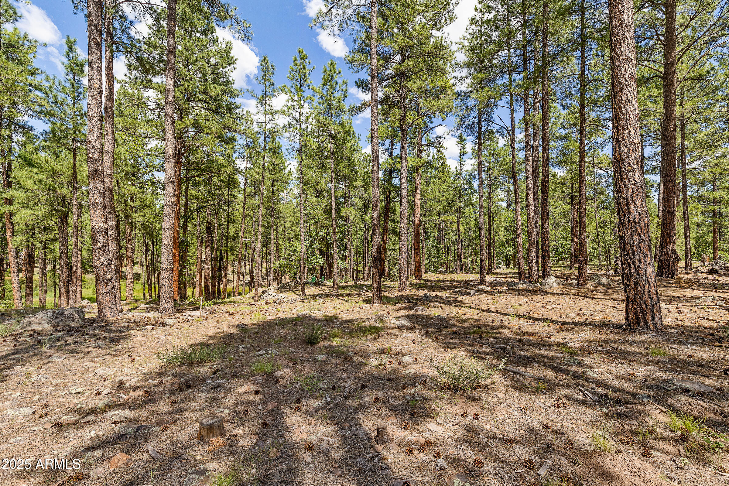 3456 LAURIE Lane 9