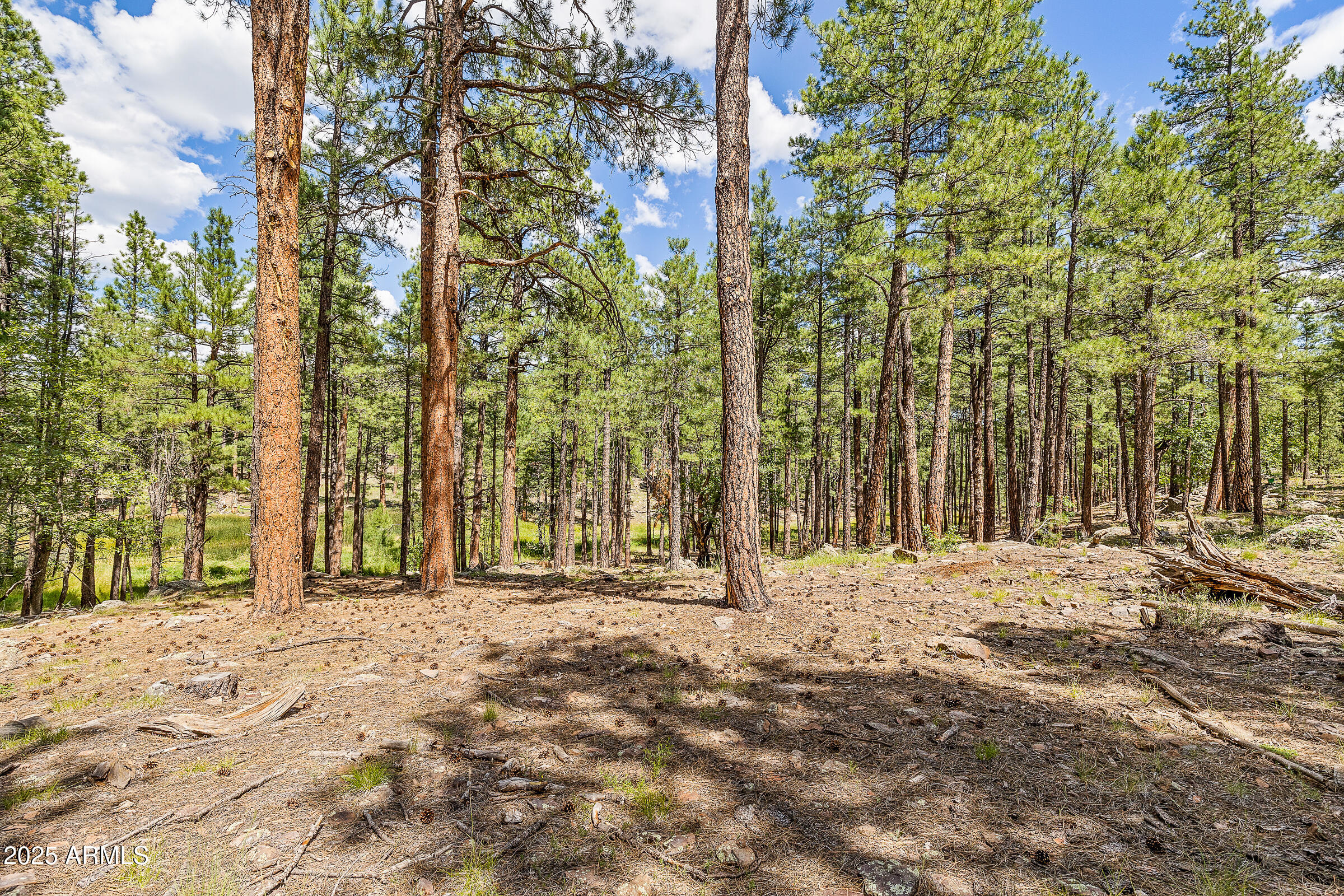 3456 LAURIE Lane 9