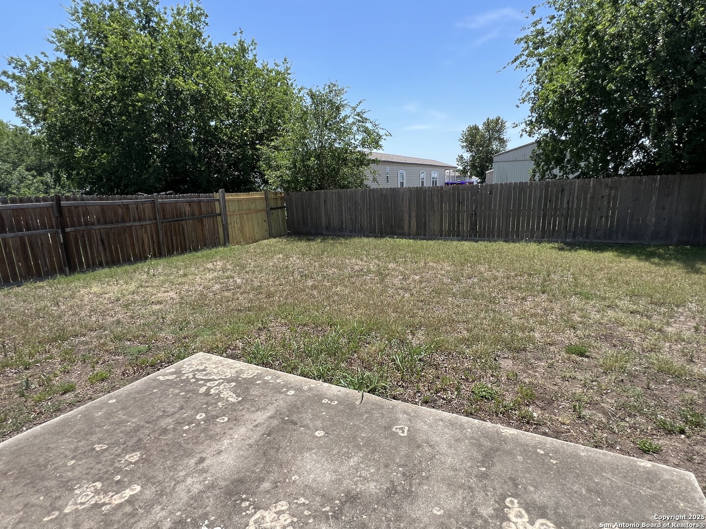 5806 Tree View