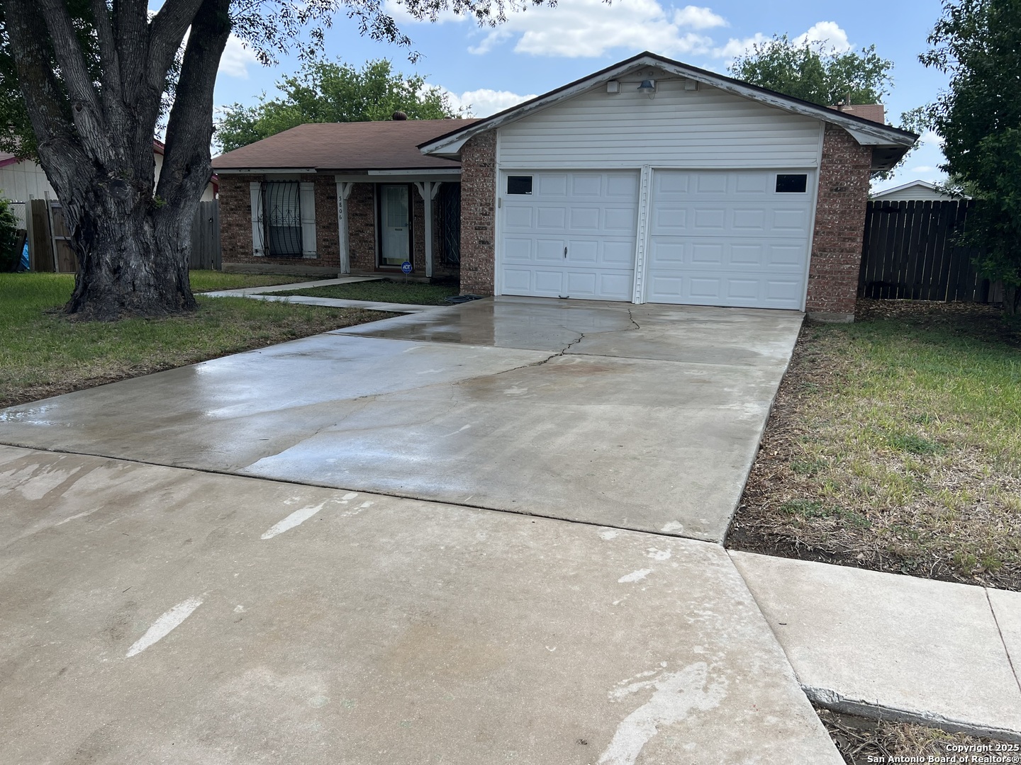 5806 Tree View