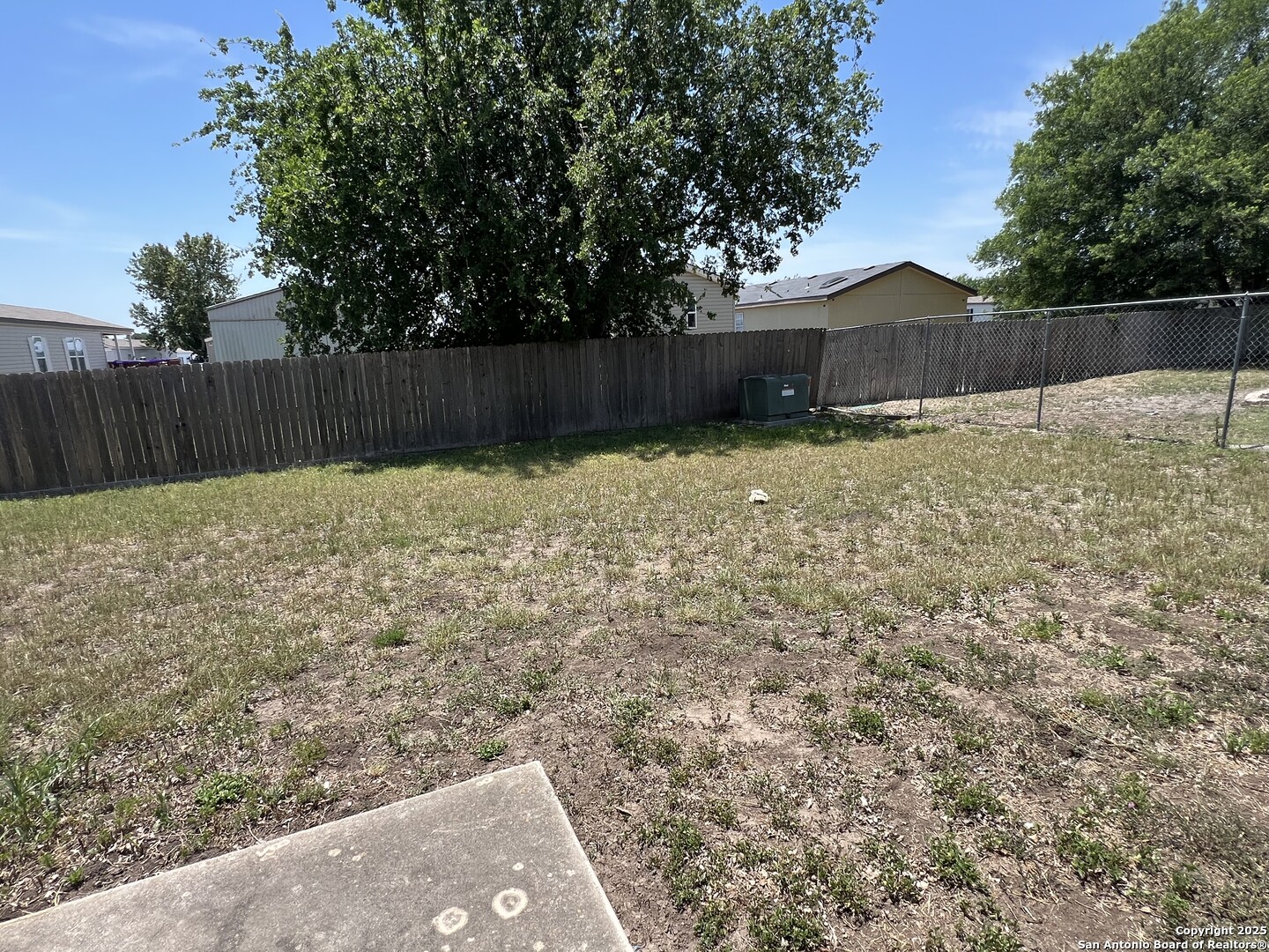 5806 Tree View