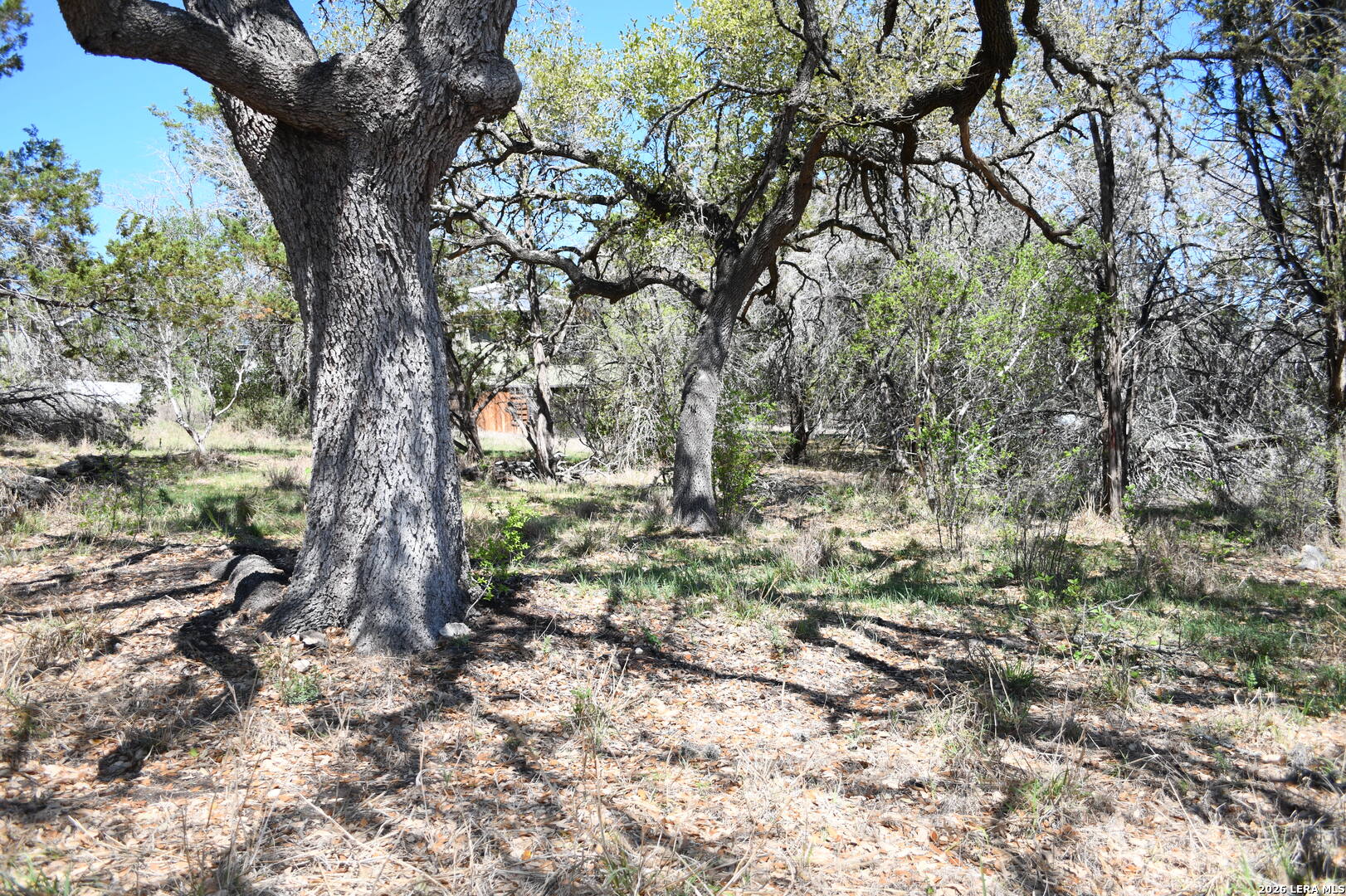 1361 Hidden Valley