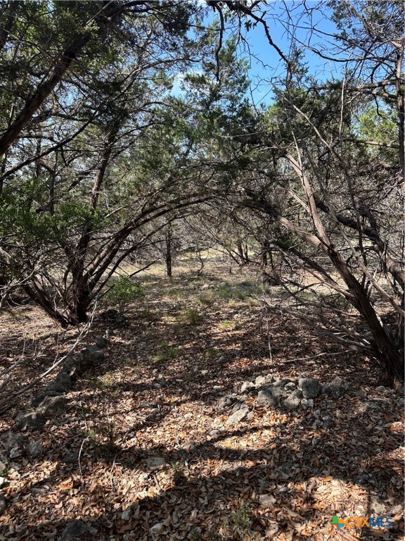 121 Agarita Drive