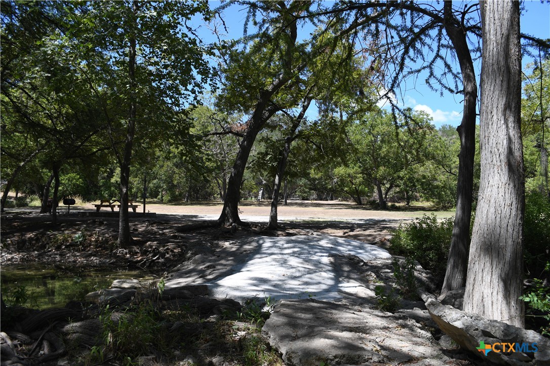 121 Agarita Drive