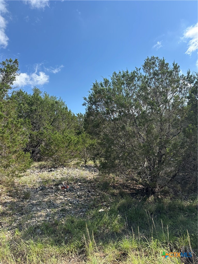 121 Agarita Drive