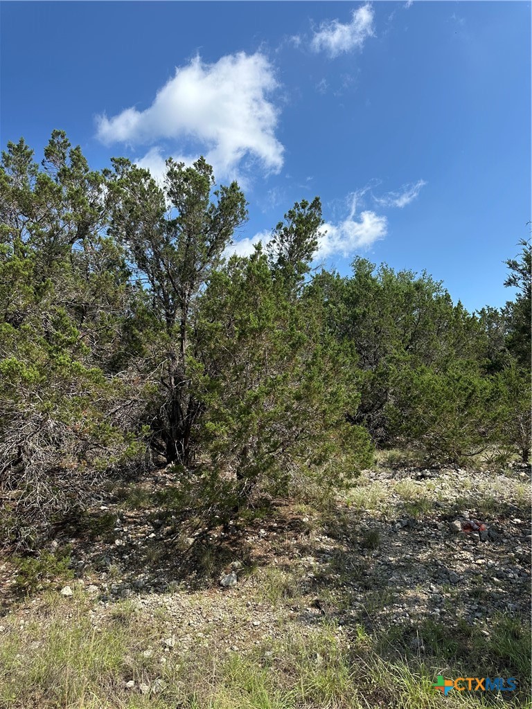121 Agarita Drive