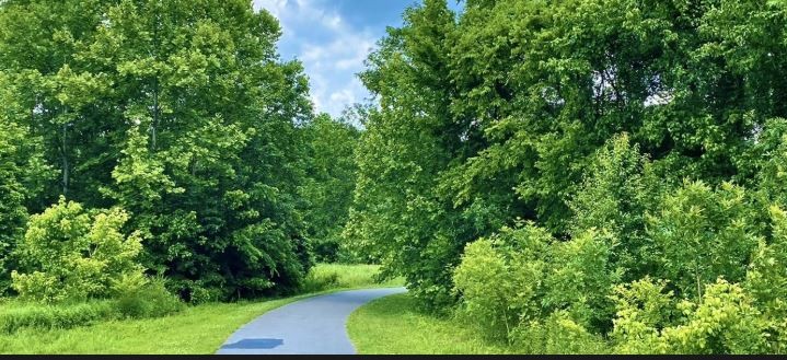 8221 Lenox Creekside Dr Unit: B12